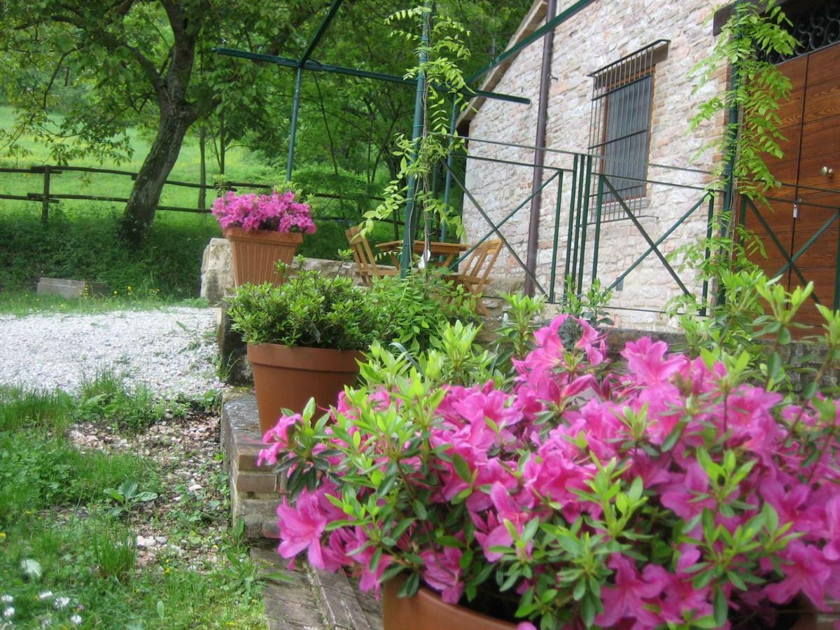 Agriturismo San Lorenzo In Torre Appartement Urbania Buitenkant foto