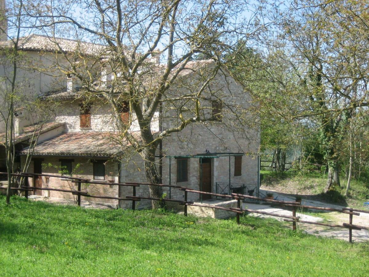 Agriturismo San Lorenzo In Torre Appartement Urbania Buitenkant foto